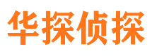 平远市私家侦探